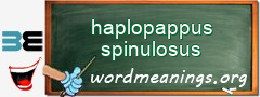 WordMeaning blackboard for haplopappus spinulosus